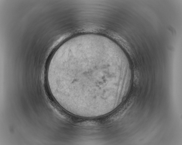 X0000111360578200908071155