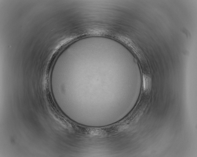 X0000111360579200908071155