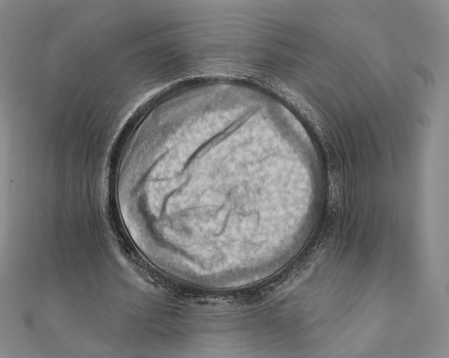 X0000111360580200908071155