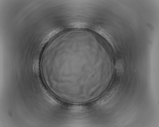 X0000111360581200908071155