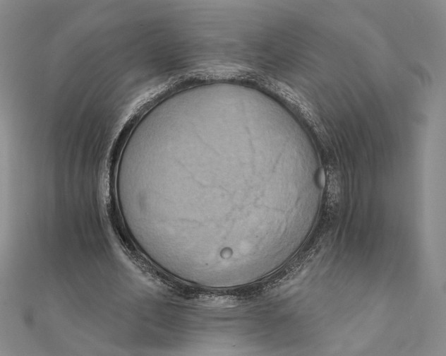 X0000111360582200908071155