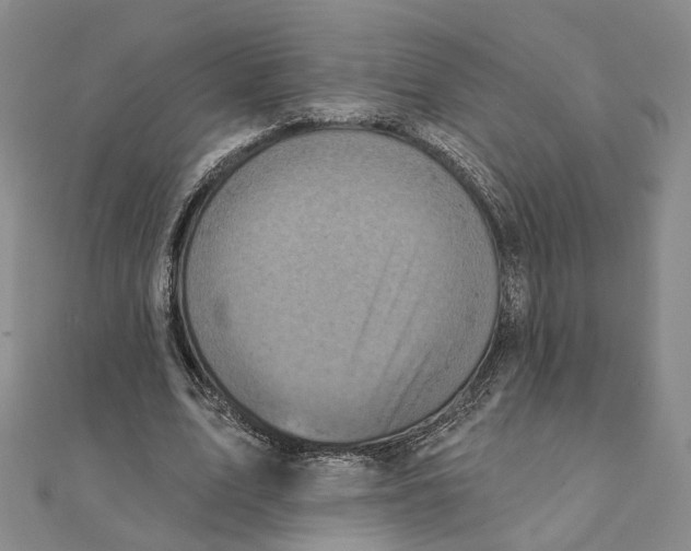 X0000111360583200908071155