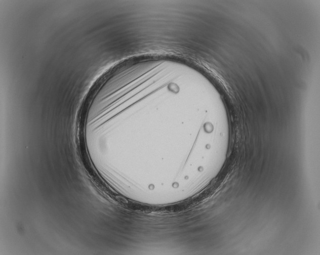 X0000111360584200908071155