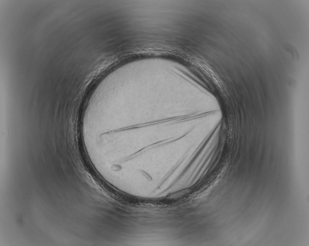 X0000111360585200908071155