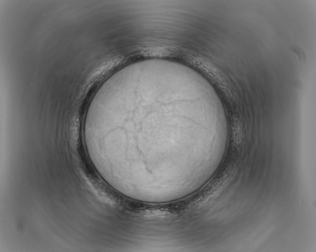 X0000111360586200908071155