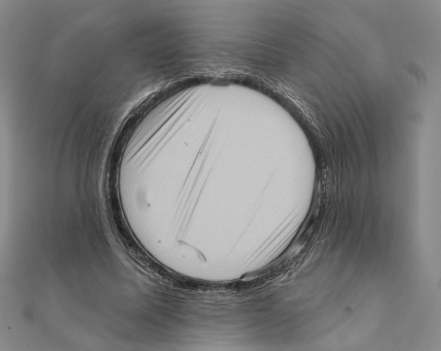 X0000111360587200908071155