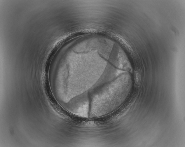 X0000111360588200908071155