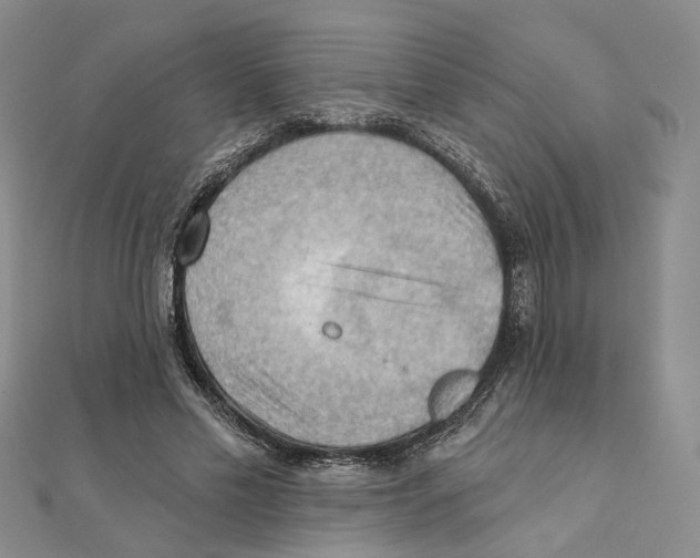 X0000111360589200908071155