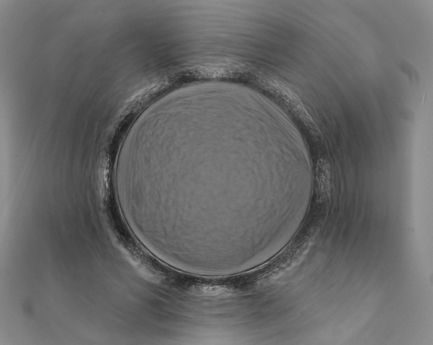 X0000111360590200908071155