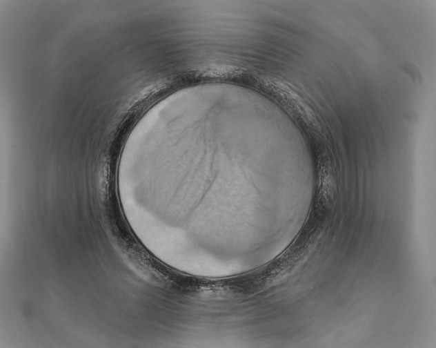 X0000111360591200908071155