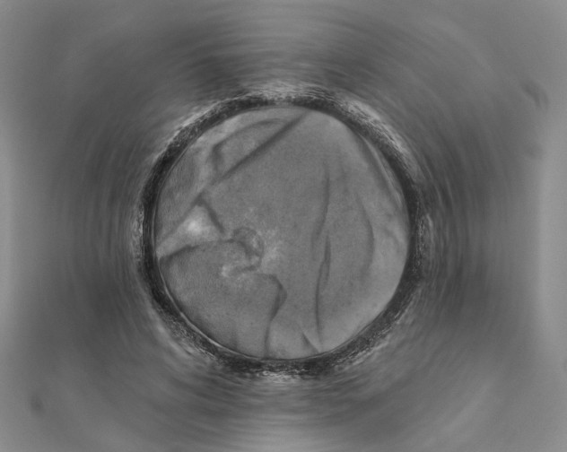 X0000111360592200908071155