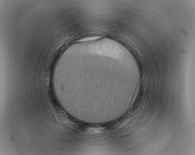 X0000111360595200908071155