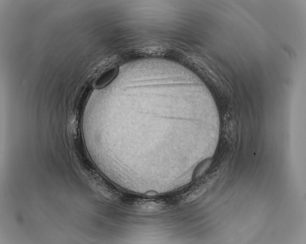 X0000111360597200908071155