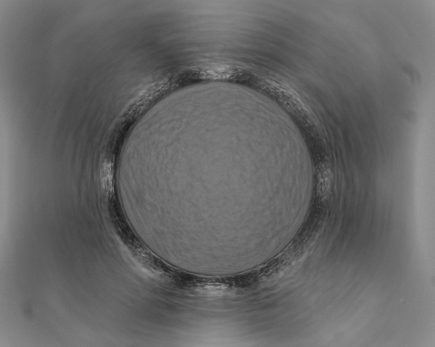 X0000111360598200908071155