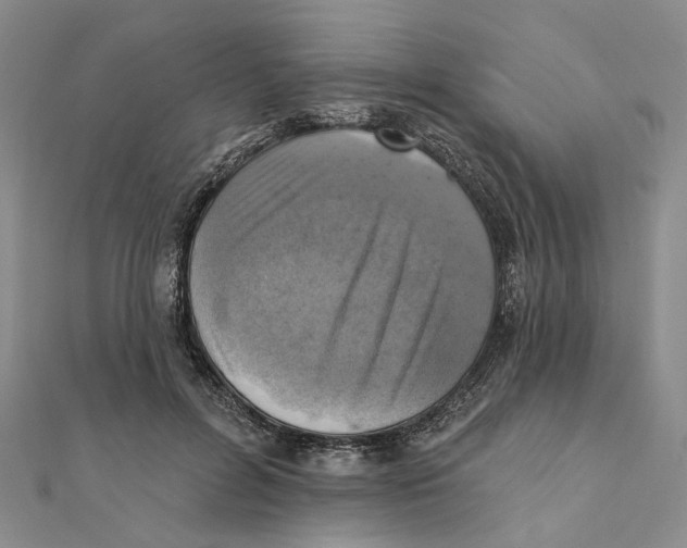 X0000111360600200908071155