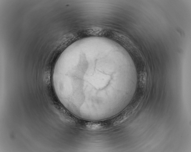 X0000111360602200908071155