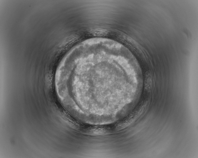 X0000111360604200908071155