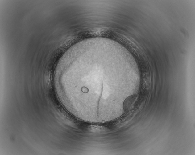 X0000111360605200908071155