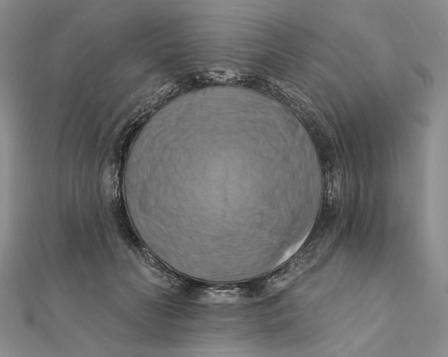 X0000111360606200908071155