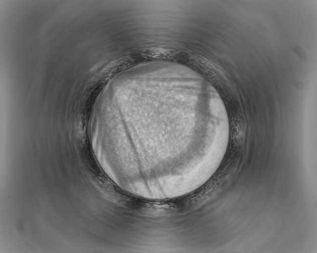 X0000111360607200908071154