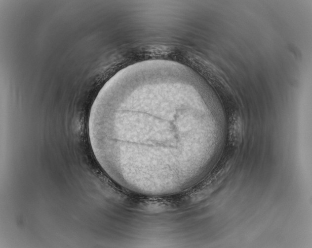 X0000111360608200908071154