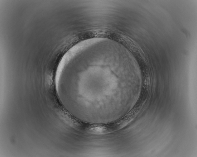 X0000111360610200908071154