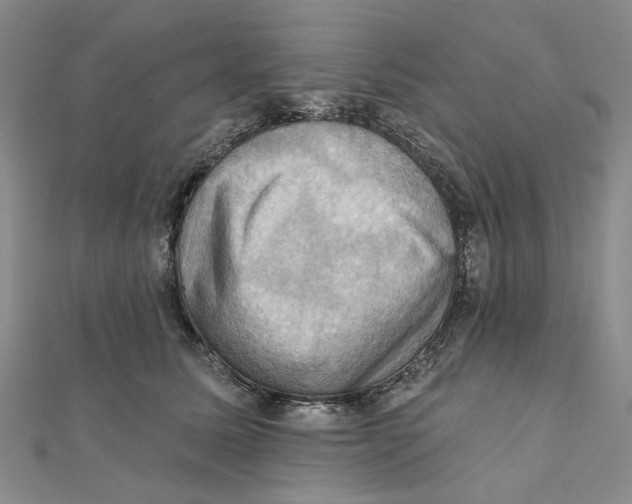 X0000111360611200908071154