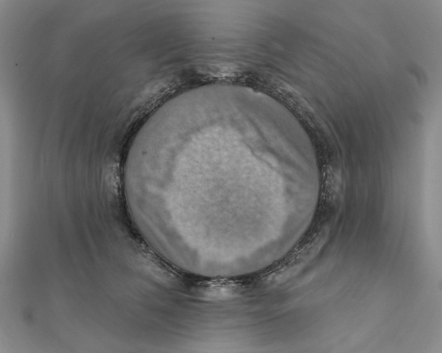 X0000111360612200908071154