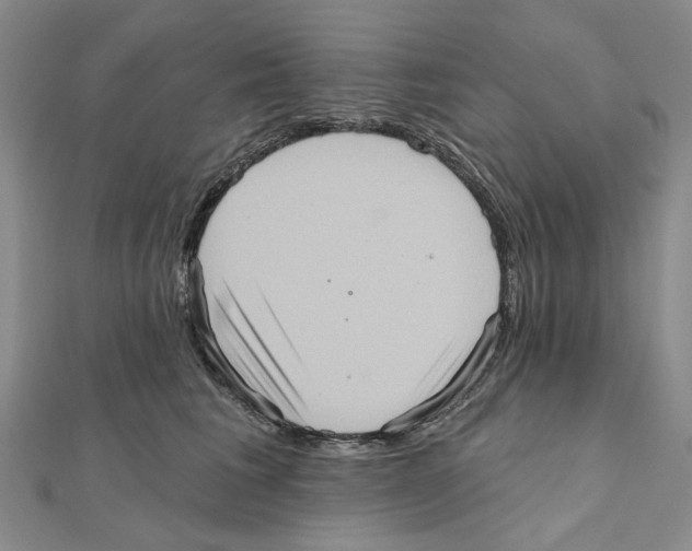 X0000111360613200908071154