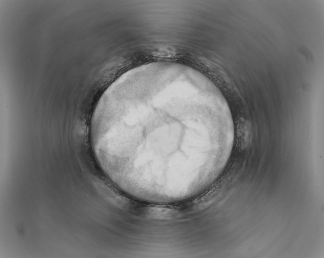 X0000111360614200908071154