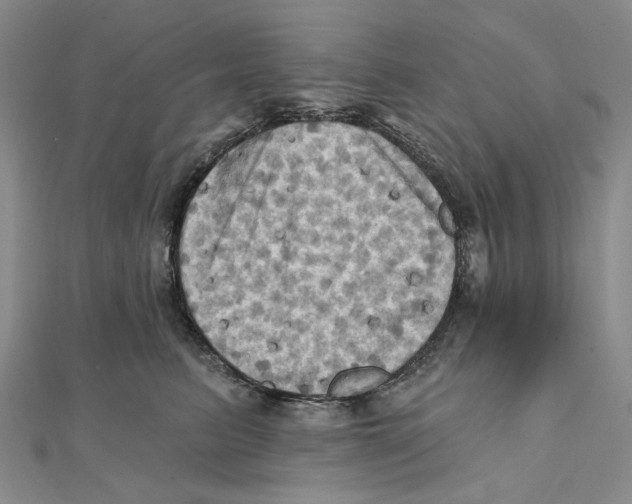 X0000111360615200908071154