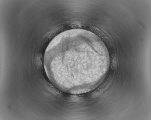 X0000111360616200908071154