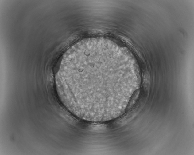 X0000111360617200908071154