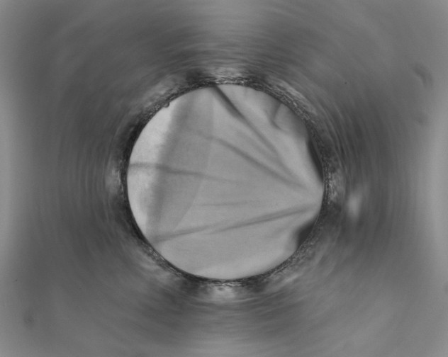 X0000111360618200908071154