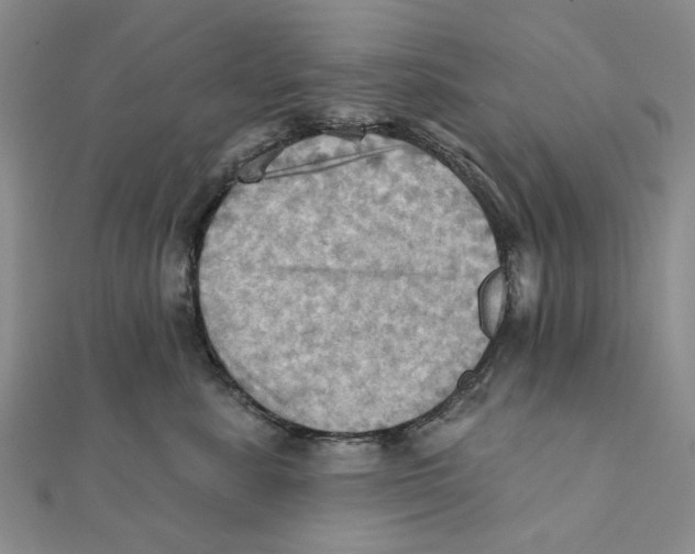 X0000111360619200908071154