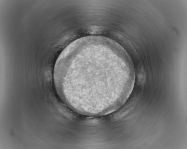 X0000111360620200908071154