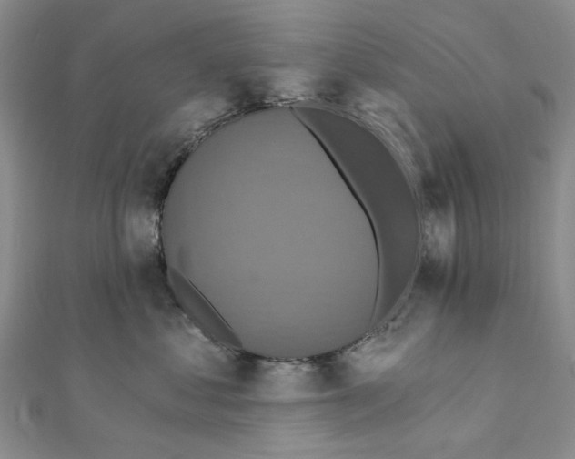 X0000111360621200908071154