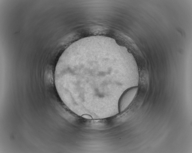 X0000111360622200908071154