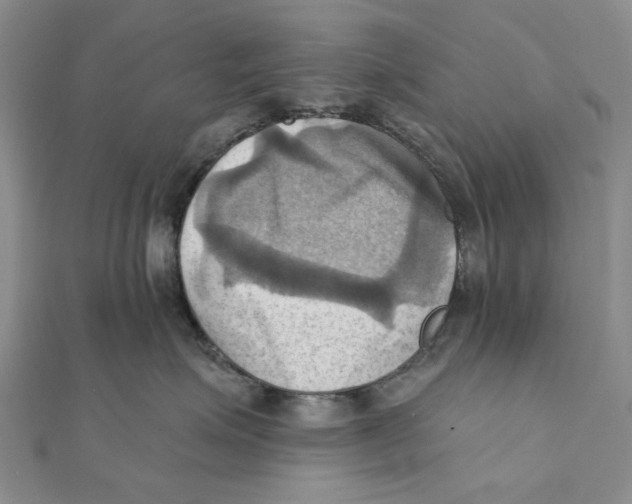 X0000111360623200908071154