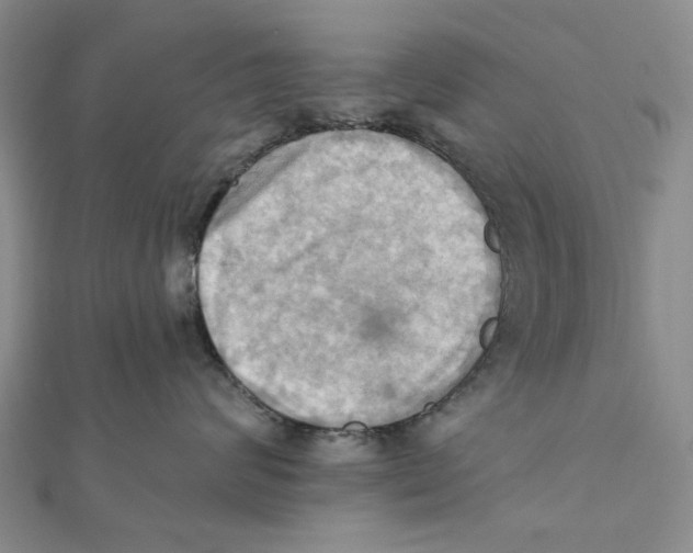 X0000111360624200908071154