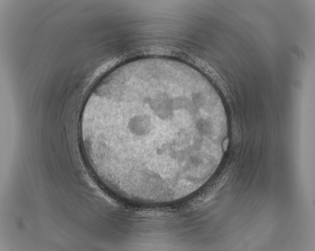 X0000111360625200908071154