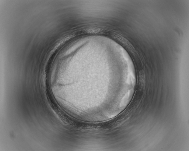 X0000111360626200908071154