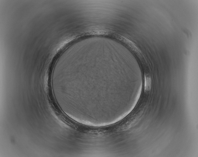 X0000111360627200908071154