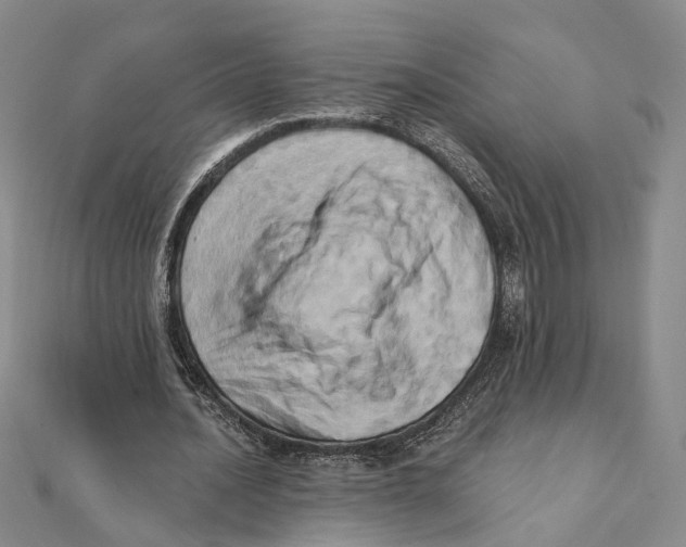 X0000111360628200908071154