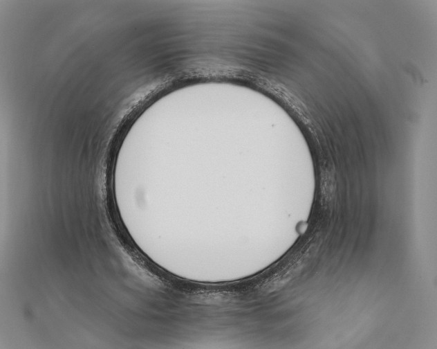 X0000111360629200908071154