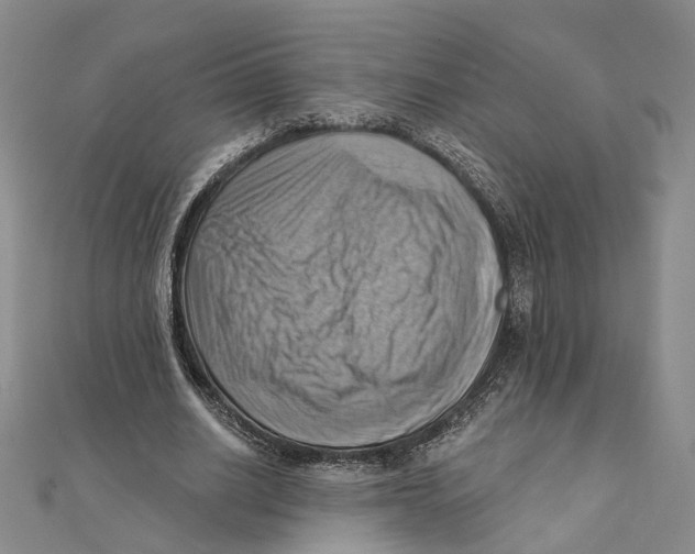 X0000111360630200908071154