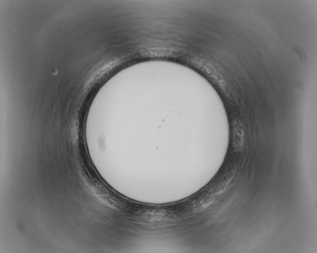 X0000111360631200908071154