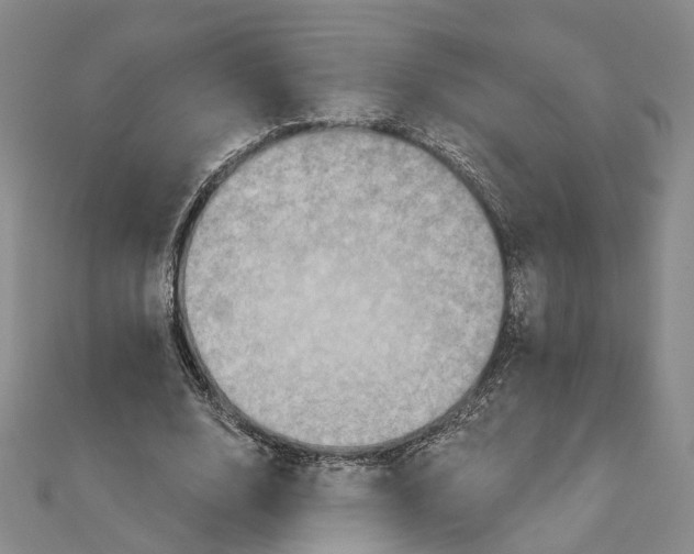 X0000111360632200908071154