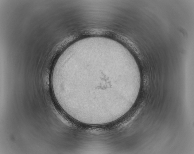 X0000111360633200908071154