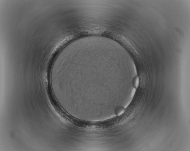 X0000111360634200908071154